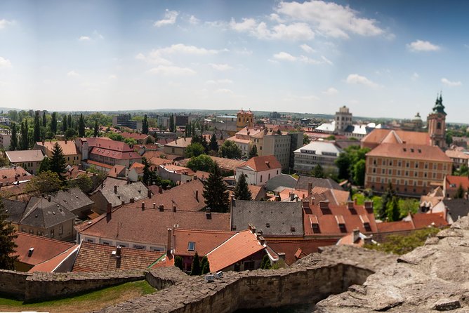 Eger Private Full-Day Wine Tasting Tour and Sightseeing from Budapest - Winery time in Eger: Egri Bikavér and how to taste smarter