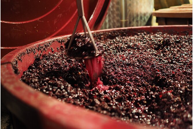Etyek Private Half-Day Wine Tasting Tour from Budapest - Winery Visit One: Family Hosts, Cold Snacks, and Practical Tasting