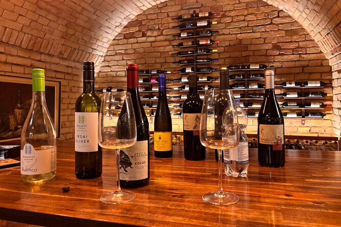 Exclusive Hungarian Wine and Gastronomy Experience Luxury Package - Who this is best for (and who should skip it)