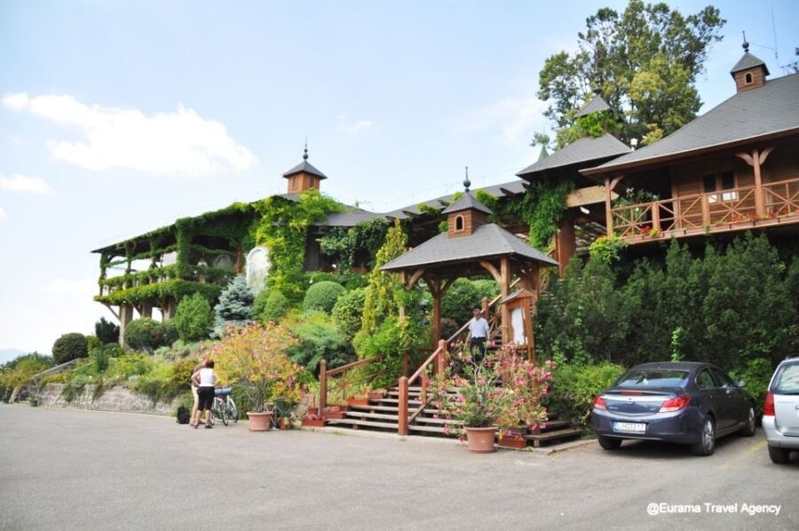From Budapest: Full-Day Danube Bend Tour with Lunch - Tips to Make Your Day Smoother