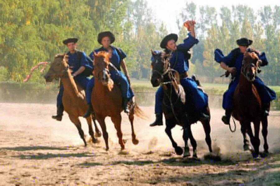 From Budapest: Full-Day Puszta Tour with Lunch and Show - Budapest to the Great Plain: what the 8-hour rhythm feels like
