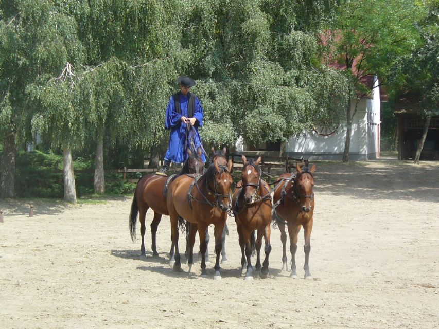 From Budapest: Full-Day Puszta Tour with Lunch and Show - The horse show: more than entertainment