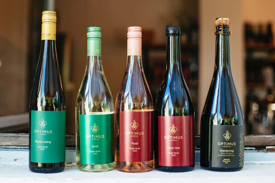 From Budapest: Half-Day Countryside Wine Tour with Meal - What you’ll eat: a classic Hungarian meal that lands right