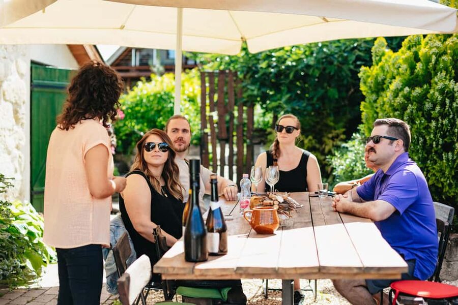 From Budapest: Half-Day Countryside Wine Tour with Meal - Pickup and the Budapest-to-Etyek minibus ride