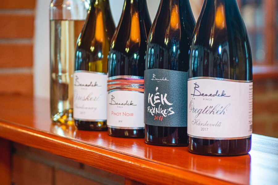 From Budapest: Mátra Hills Wine Tour - A 5-Hour Escape From Budapest to the Mátra Hills