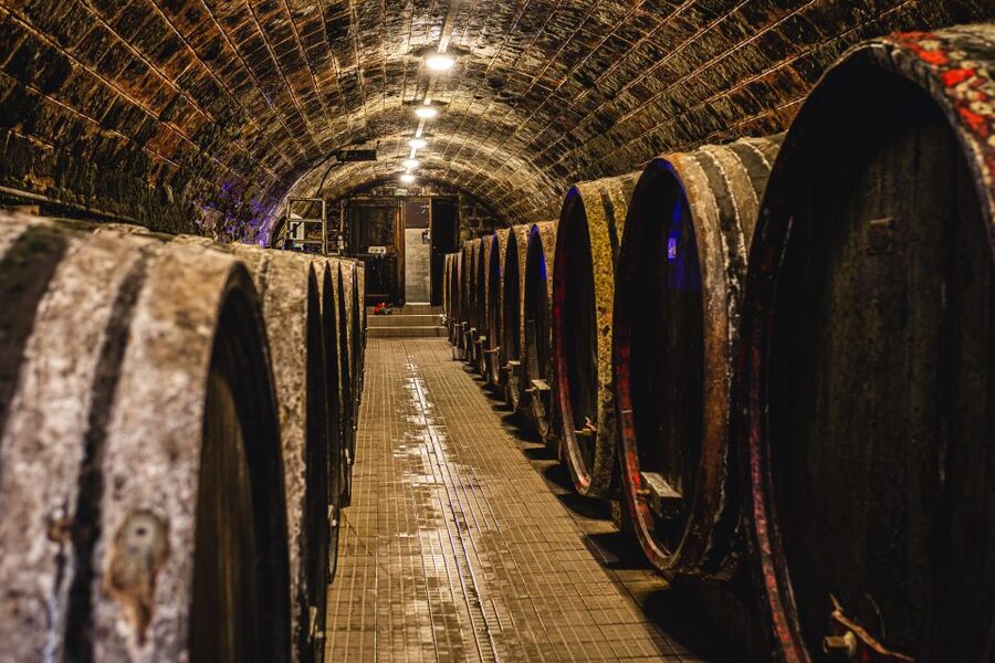 From Budapest: Mátra Hills Wine Tour - The Winemaker of the Year Moment and What to Do With It