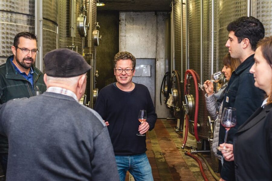 From Budapest: Mátra Hills Wine Tour - Snacks That Make Wine Tastings Feel Like a Real Meal