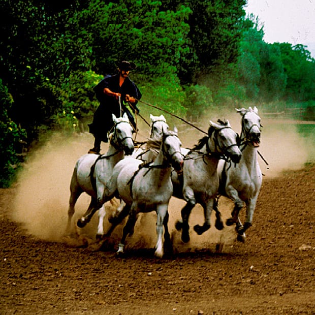 From Budapest: Puszta Horse Show and Countryside Visit - What Makes This Day Trip Feel Worth It