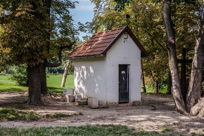 Hiking + Chairlift ride + viewpoints in Budapest - Normafa walking area: trees, green fields, and strudel-energy