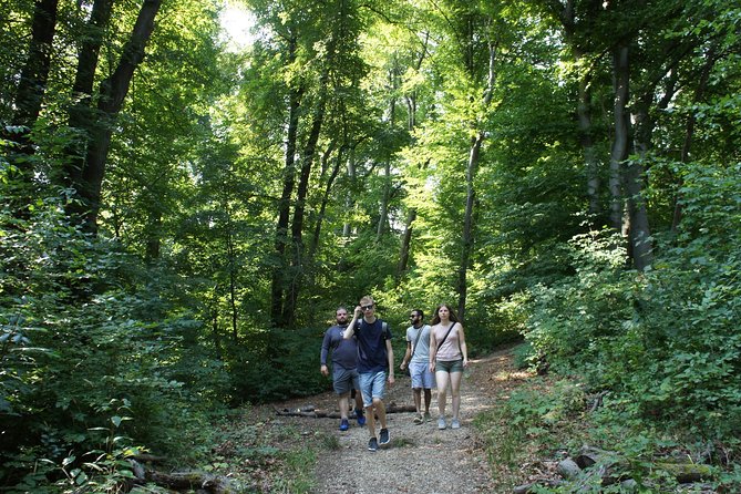 Hiking in Budapest - Upgrade options: half-day versus full-day hiking in Buda