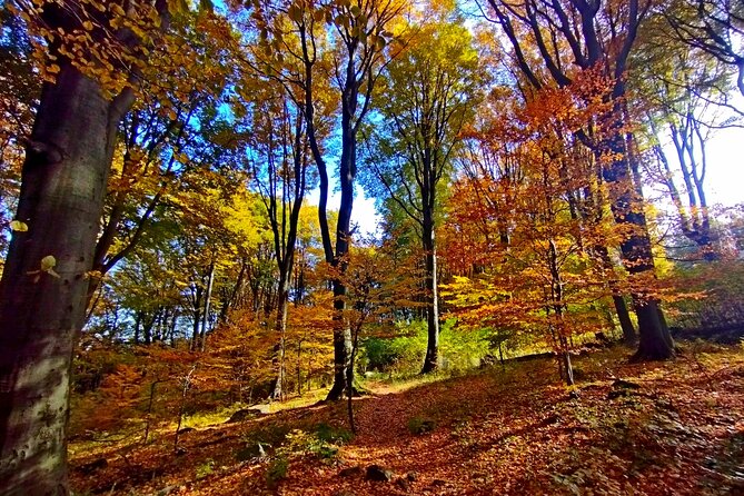 Hiking Tour to the Peak of Hungary - Kekesteto TV Tower: Highest-Point Views with the Ticket Included