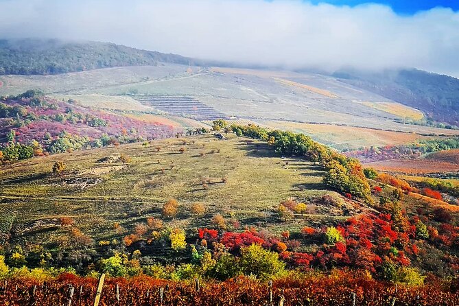 Home to Bull's Blood red wine! Eger with winetaste private tour - Price and logistics: what $420 per person really buys