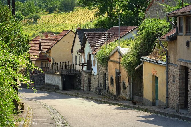 Home to Bull's Blood red wine! Eger with winetaste private tour - Szépasszony Völgy: 5-part wine tasting with Bull’s Blood included