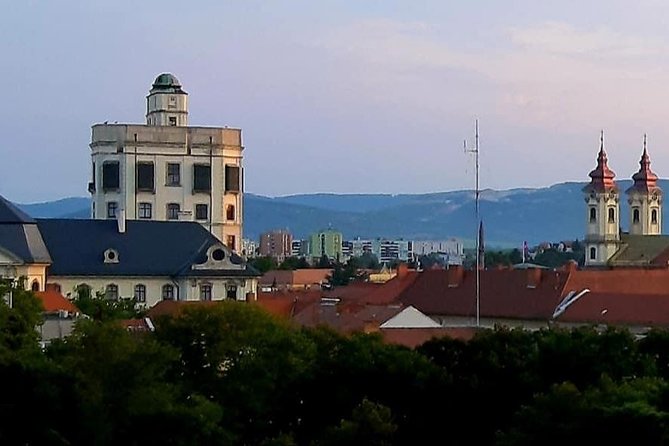 Home to Bull's Blood red wine! Eger with winetaste private tour - Minorita Templom and Eger’s classical church interiors