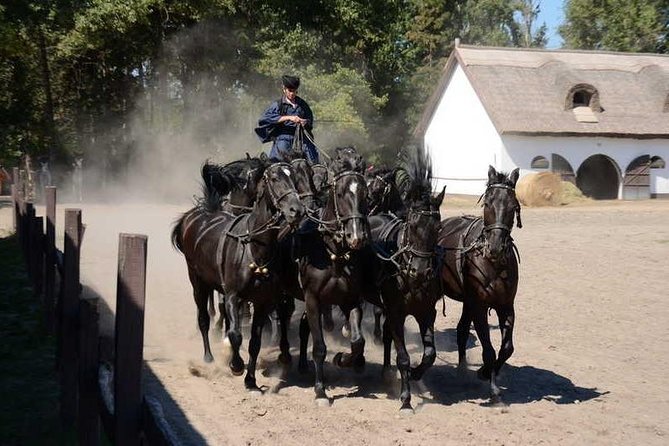 Horseshow on the Hungarian Puszta, private tour from Budapest with entry! - Why this Budapest-to-Puszta day is more than a show