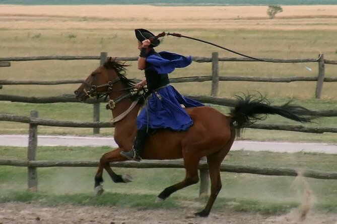 Horseshow on the Hungarian Puszta, private tour from Budapest with entry! - The horseshow: horsemanship, carriages, and the big crowd moments
