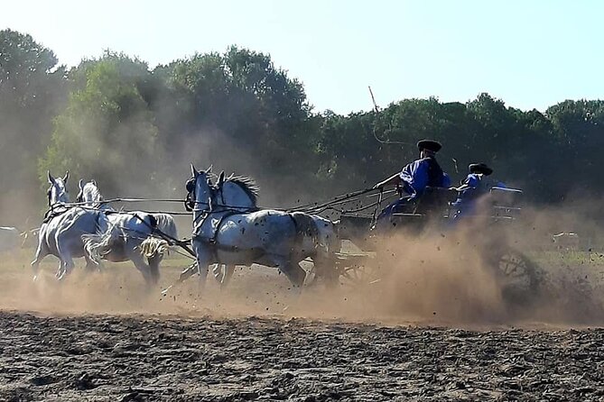 Horseshow on the Hungarian Puszta, private tour from Budapest with entry! - Hungarian lunch with wine: why the meal fits the day