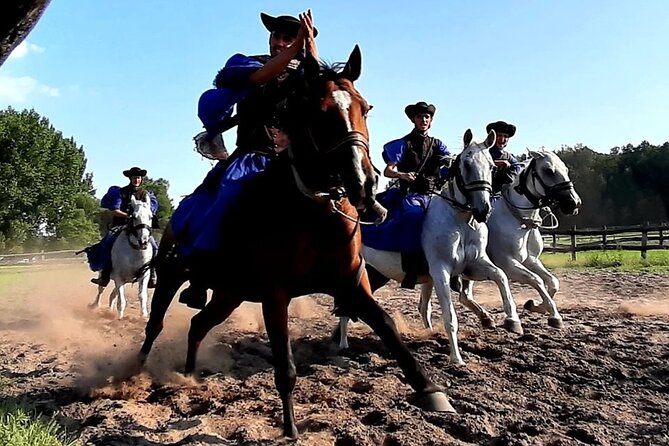 Horseshow on the Hungarian Puszta, private tour from Budapest with entry! - What you’re actually learning about Hungarian culture
