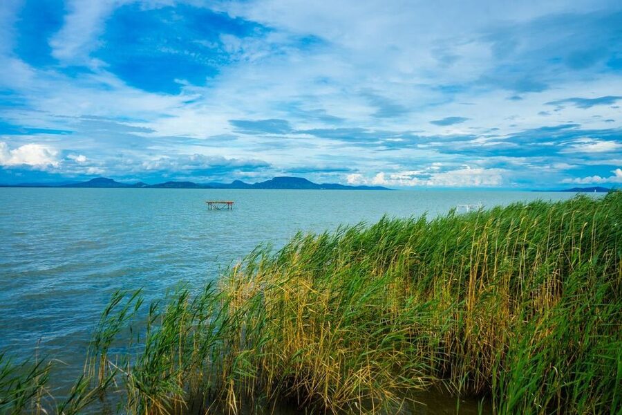 Lake Balaton and Herend Guided Tour - Who This Tour Fits Best