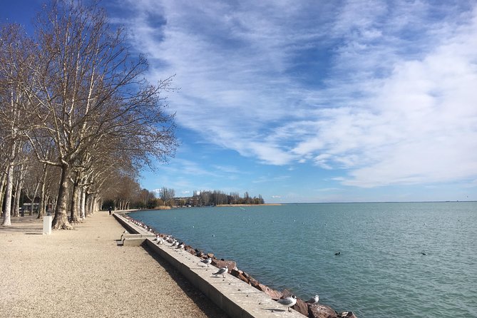 Lake Balaton and Herend Porcalain (Full-Day Private Tour) - Price and value: $554 per group, and what’s extra