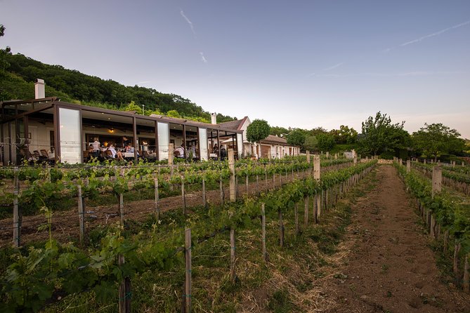 Lake Balaton Full Day Private Wine Tour - Tihany Echo viewpoint: what it’s best for (and what to expect)