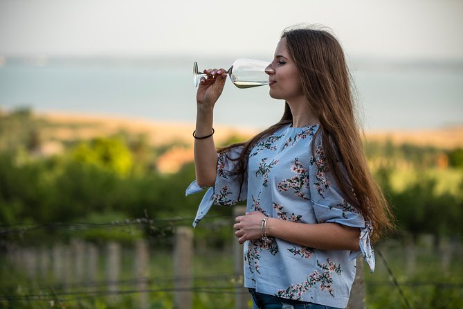 Lake Balaton Full Day Private Wine Tour - Lunch and drinks: included, but plan how you’ll handle tasting order