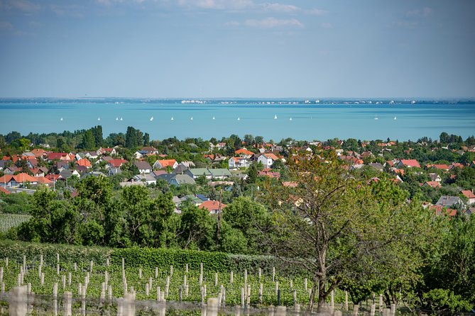 Lake Balaton Full Day Private Wine Tour - Budapest to Lake Balaton: a longish drive that buys you a real day out