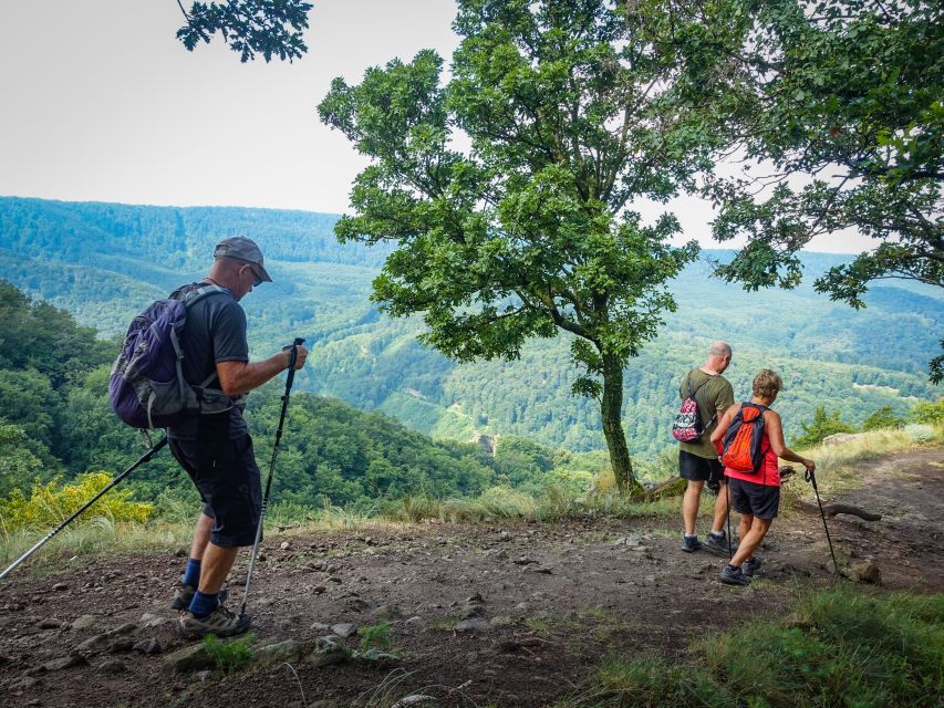 One Day Wonder Hike - The Essence of the Danube Bend - Why this Danube Bend hike feels worth the time