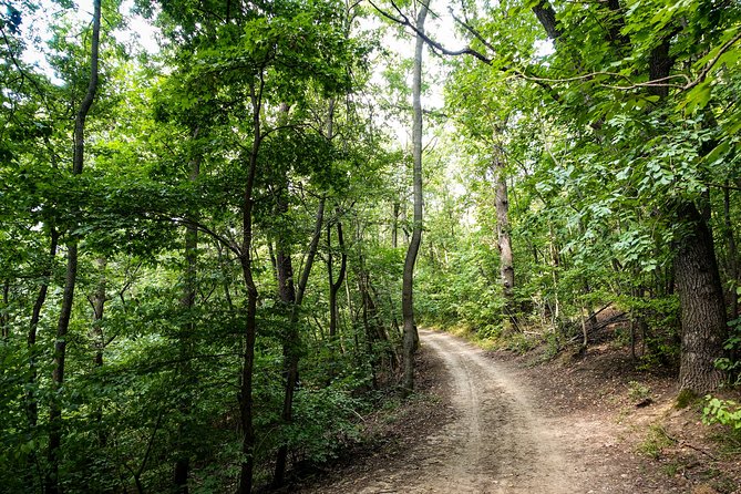 Panoramic hike around Budapest - How fit do you need to be for 5 hours in Budapest forests?
