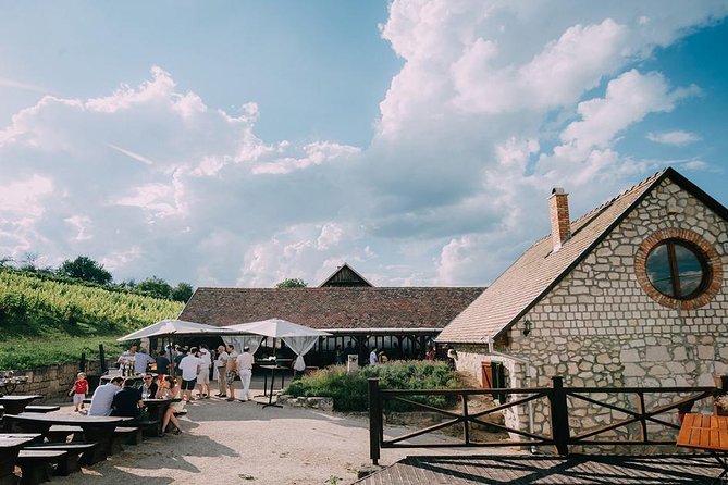 Private Etyek Wine tour with dinner including a Budapest Danube Evening Cruise - Who this private wine and Danube combo is perfect for
