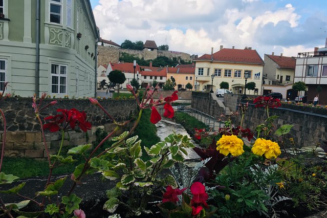 Private Full Day Tour to Eger - History, Culture and Wine - Dobó István tér and St. John the Apostle Cathedral: town life with context