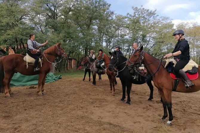 Private Horse Riding near Budapest with transport - Price and value: is $189 a fair deal?