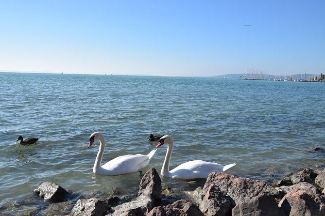 Private Lake Balaton Experience with an unforgettable Wine Tasting - The 10-hour flow: what a full day actually feels like