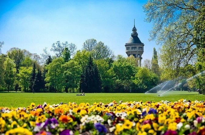 Private Stag Do Tour: Fun E-Scooter Ride with Games in Budapest - Stop 3: Széchenyi Chain Bridge for free photo time