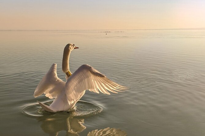 Private tour from Budapest to a top hidden treasure region of Europe: Lake Balaton - Szántód–Tihany Ferry: The Best 10 Minutes of Motion