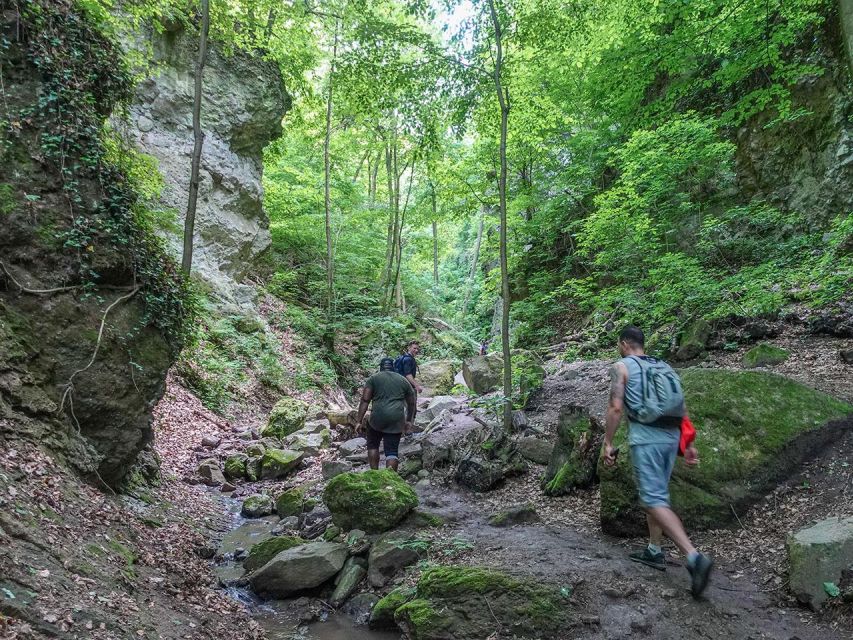Ram Gorge Hiking Adventure - On the trail: streams, ladders, and volcanic rock you actually have to work with