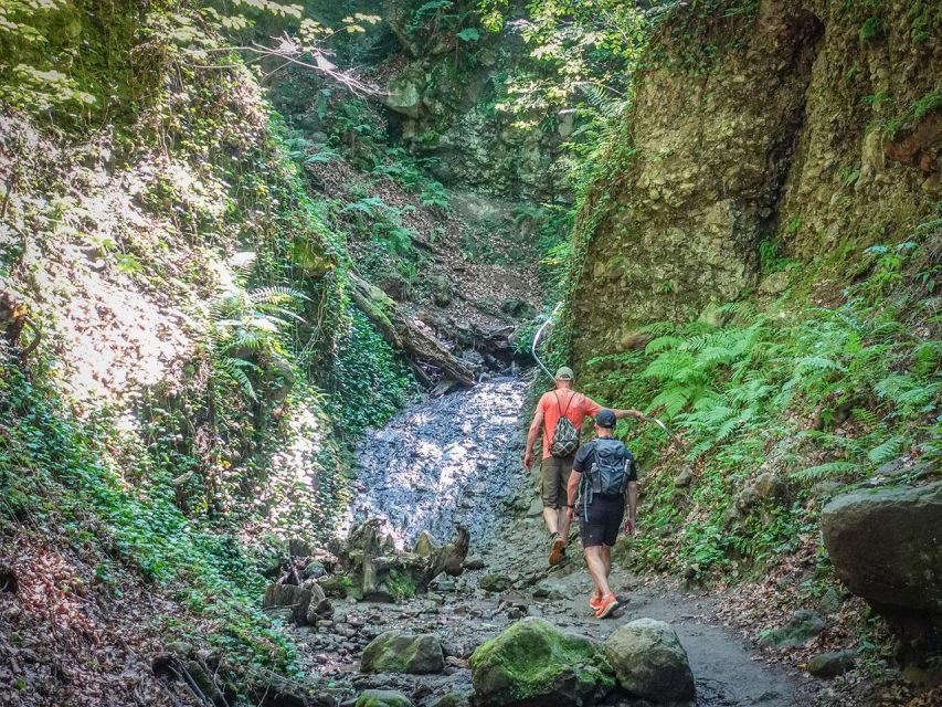 Ram Gorge Hiking Adventure - Pace and difficulty: what “manageable” means for your legs and balance
