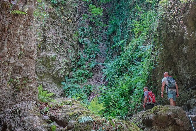 Ram Gorge Hiking Adventure Natures Playground Near Budapest - The Gorge Section: Stream Crossings, Waterfall Ladders, and Where You Need Caution