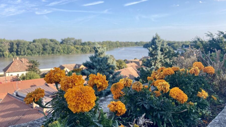 Szentendre: Arts and Cafés Tour (Half-Day Private Tour) - Key Things I’d Book This For