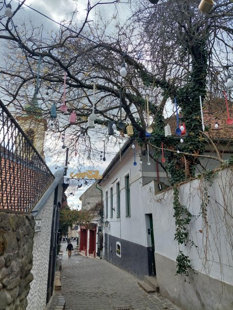 Szentendre: Half-Day Private Tour from Budapest - Key Highlights You’ll Feel Right Away