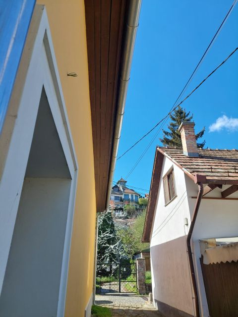 Szentendre: Half-Day Private Tour from Budapest - Boat Return Option and What It Changes