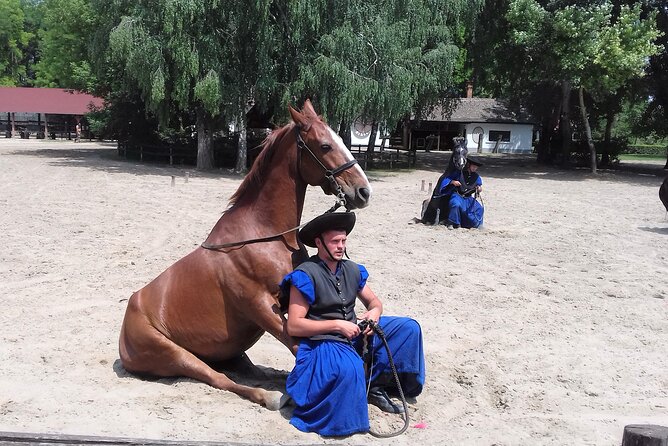 The "Puszta" Horse Show - Why the Puszta horse show day feels like more than a show