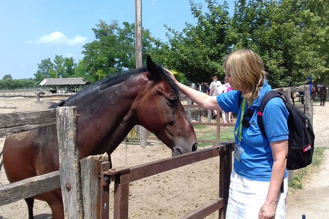 The "Puszta" Horse Show - Photos from the tribune: how to get better shots without overthinking it