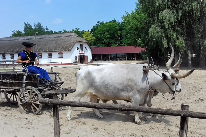 The "Puszta" Horse Show - Group size, pace, and what “8 hours” really means