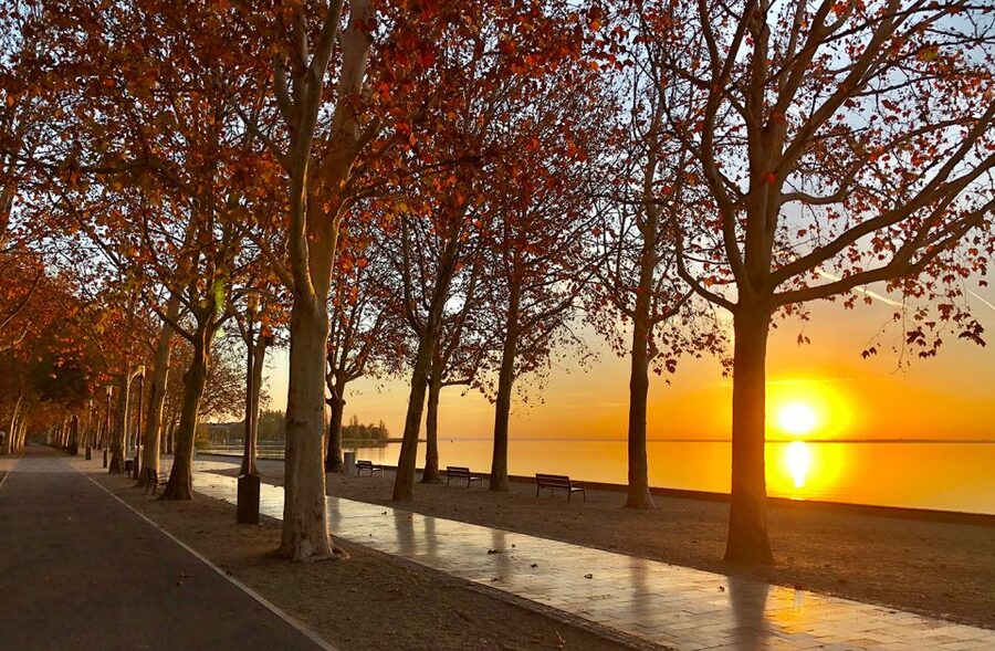 The Turquoise Sea of Hungary: Lake Balaton Private Tour - Balatonfüred promenade and villas: the artist-and-writer vibe