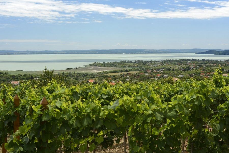 The Turquoise Sea of Hungary: Lake Balaton Private Tour - Lunch with a view: what’s included and what you’ll pay for