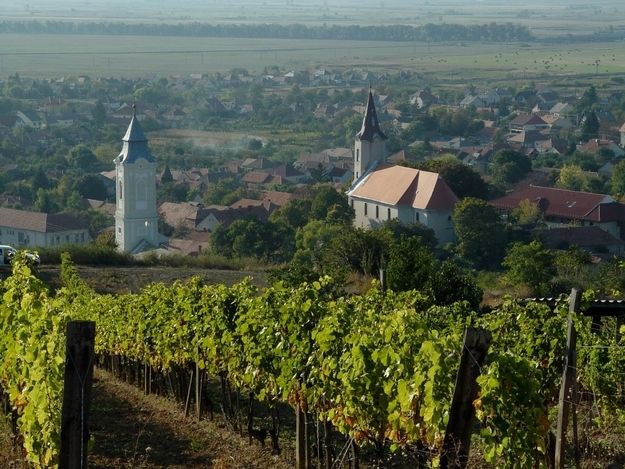 Wine taste in Tokaj Private Day Tour from Budapest - Inside the Rákóczi Pince and Tokaj’s oldest street