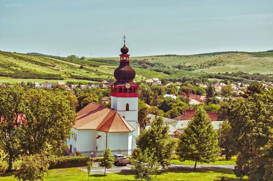 Wine taste in Tokaj Private Day Tour from Budapest - Your cellar education and the 4-wine tasting with snacks