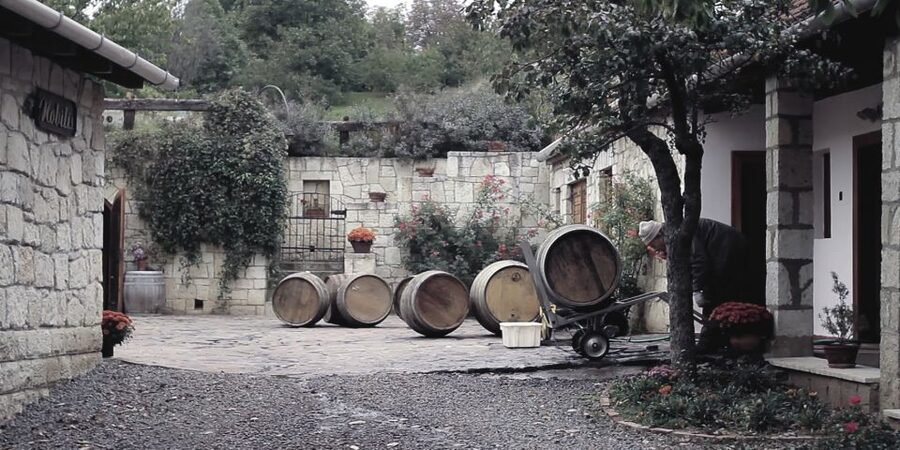 Wine taste in Tokaj Private Day Tour from Budapest - Lunch timing: budget for it and don’t let it slow the day down