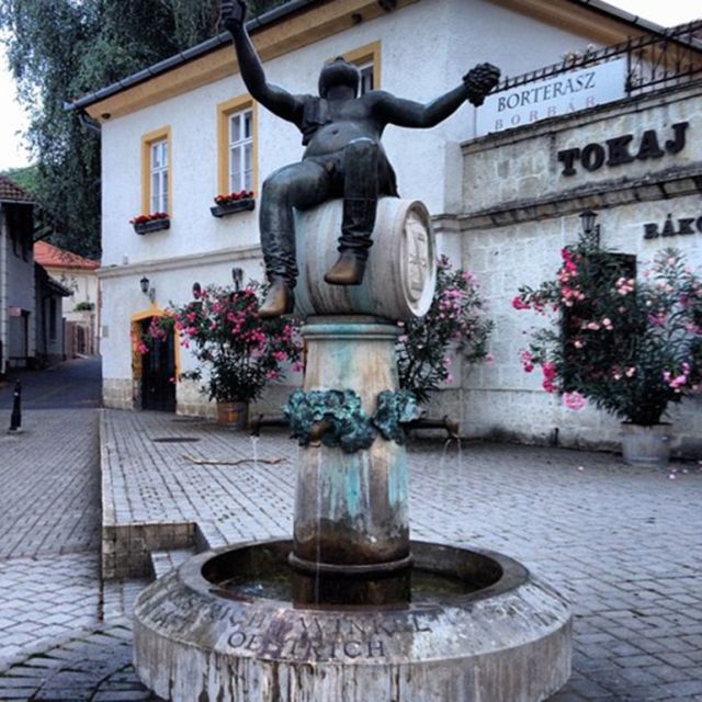 Wine taste in Tokaj Private Day Tour from Budapest - Languages, private guide energy, and why that matters on a wine day